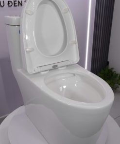 Bàn cầu 1 khối nắp đóng êm mã A5-8164