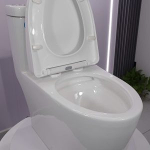 Bàn cầu 1 khối nắp đóng êm mã A5-8164