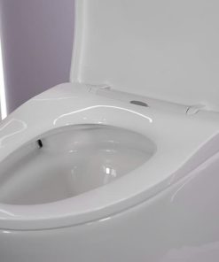 Bàn cầu 1 khối nắp đóng êm mã A5-8235