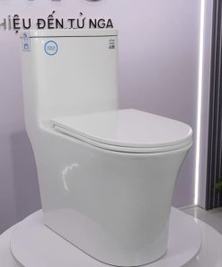 Bàn cầu 1 khối nắp đóng êm mã A5-8235