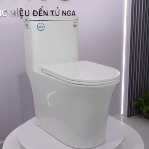 Bàn cầu 1 khối nắp đóng êm mã A5-8235