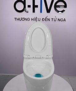 Bàn cầu 1 khối nắp đóng êm mã A5-8261