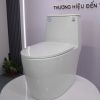Bàn cầu 1 khối nắp đóng êm mã A5-8261