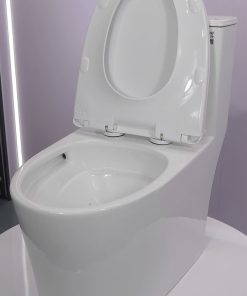 Bàn cầu 1 khối nắp đóng êm mã A5-8279