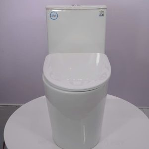 Bàn cầu 1 khối nắp đóng êm mã A5-8279