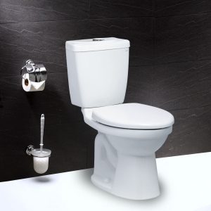 Bàn cầu 2 khối Caesar CT1325