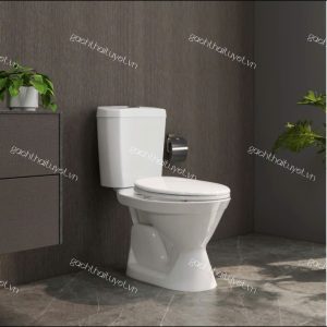 Bàn cầu hai khối Vl66