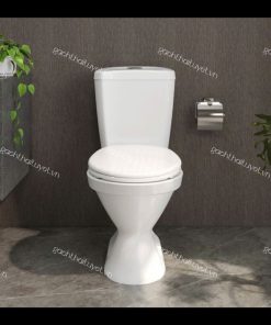 Bàn cầu hai khối Vl66