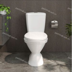 Bàn cầu hai khối Vl66