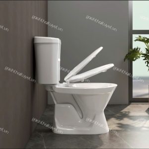 Bàn cầu hai khối Vl66