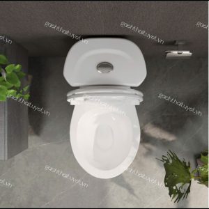 Bàn cầu hai khối Vl66