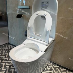 Bàn cầu điện tử NEOREST LS ToTo mã CS91VT