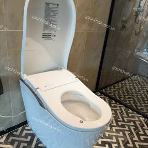 Bàn cầu điện tử NEOREST LS ToTo mã CS91VT
