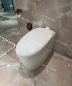 Bàn cầu điện tử NEOREST RS ToTo mã CS921VT