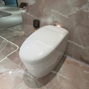Bàn cầu điện tử NEOREST RS ToTo mã CS921VT