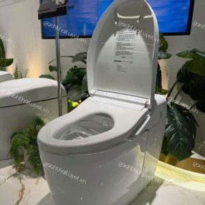 Bàn cầu điện tử NEOREST ToTo mã CS988VT