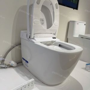 Bàn cầu điện tử thông minh INAX mã AC-819VN