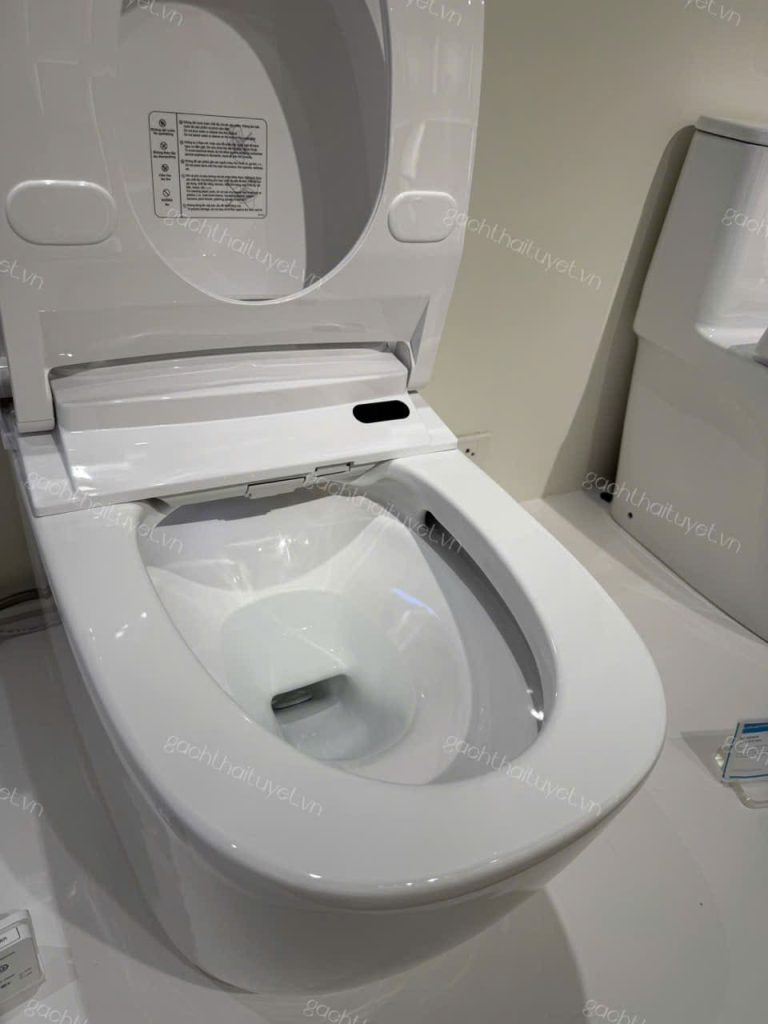 Bàn cầu điện tử thông minh INAX mã AC-819VN