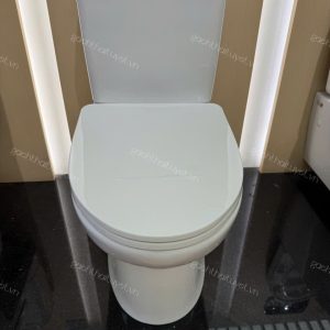 Bàn cầu hai khối Dòng S200 INAX mã AC-602VN