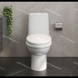 Bàn cầu hai khối VI107
