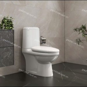 Bàn cầu hai khối VI107