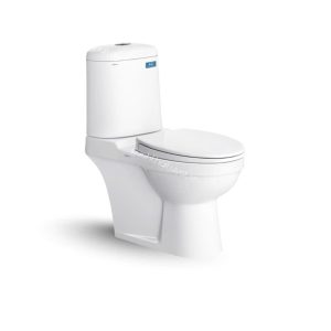 Bàn cầu hai khối VI107