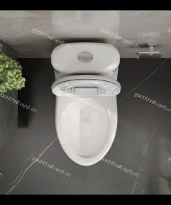 Bàn cầu hai khối VI107