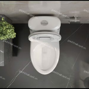Bàn cầu hai khối VI107