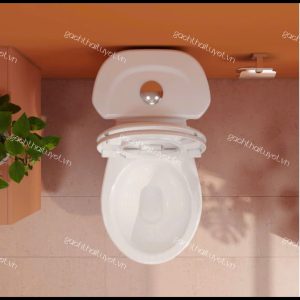 Bàn cầu hai khối VI28