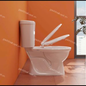 Bàn cầu hai khối VI28