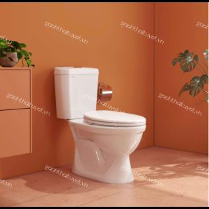 Bàn cầu hai khối VI28