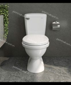 Bàn cầu hai khối VI77