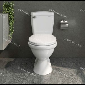Bàn cầu hai khối VI77