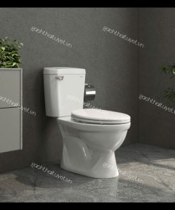 Bàn cầu hai khối VI77