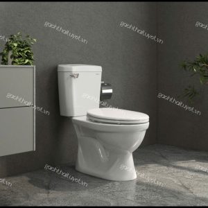 Bàn cầu hai khối VI77