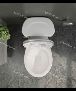Bàn cầu hai khối VI77