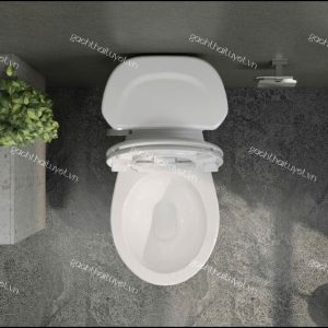 Bàn cầu hai khối VI77
