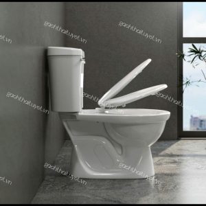 Bàn cầu hai khối VI77