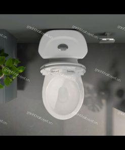 Bàn cầu hai khối VI88