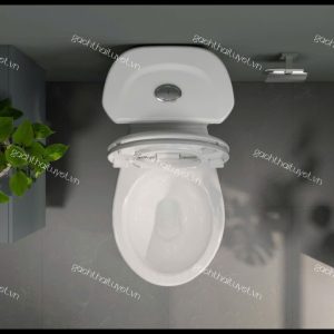 Bàn cầu hai khối VI88