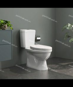 Bàn cầu hai khối VI88