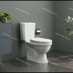 Bàn cầu hai khối VI88