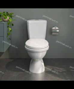 Bàn cầu hai khối VI88