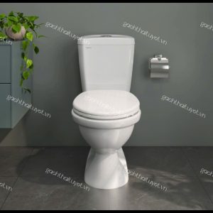 Bàn cầu hai khối VI88