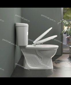 Bàn cầu hai khối VI88