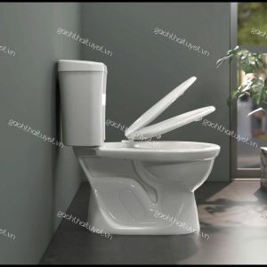 Bàn cầu hai khối VI88