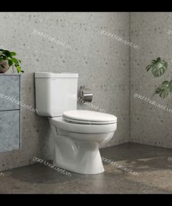 Bàn cầu hai khối VT18M