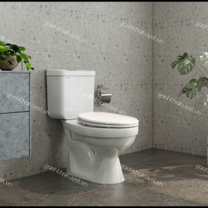 Bàn cầu hai khối VT18M