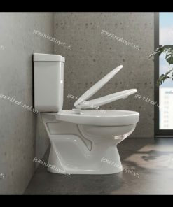 Bàn cầu hai khối VT18M