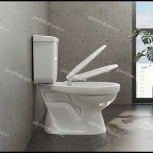 Bàn cầu hai khối VT18M